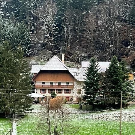 Geraeumige Wohnung Im Schwarzwald Seelbach  Exterior photo